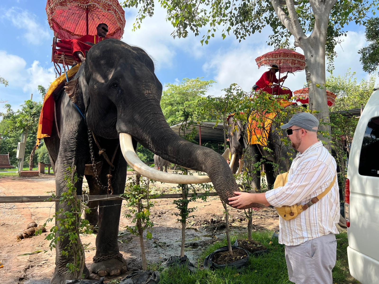 Thailand elephant me